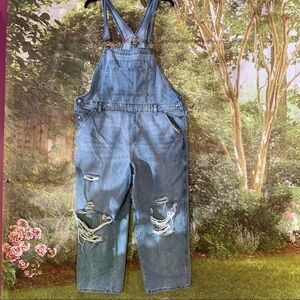 Wild Fable Overalls
